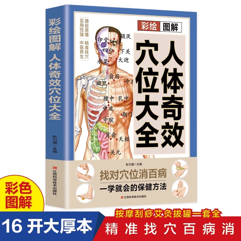 Health & Wellness Là Gì - Guía de masaje de puntos de