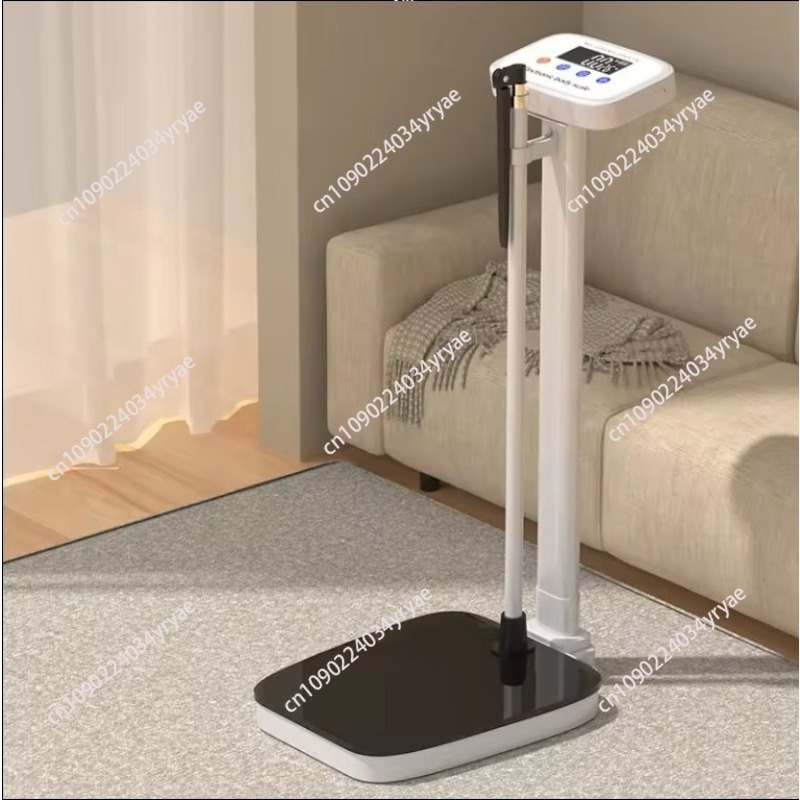 Báscula inteligente con conexi - Digital Body Weight Scale reseña y precio