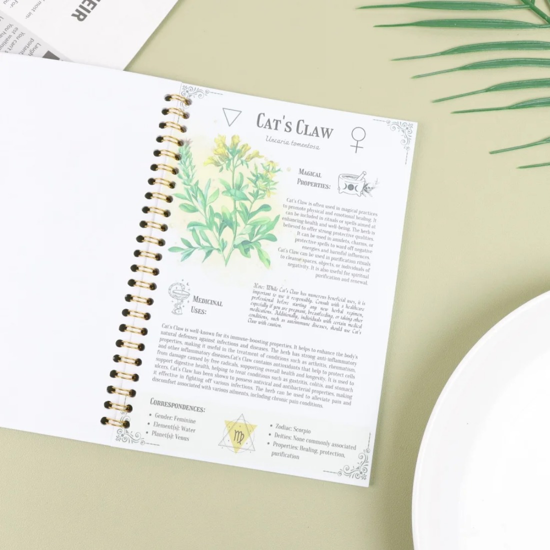 Cuaderno de Curación Natural 2 - Health Wellness Journal reseña y precio