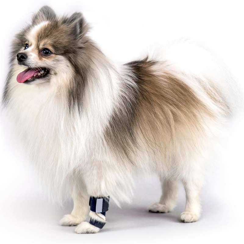 Soporte para Perros con Hipere - Ankle Brace Support reseña y precio