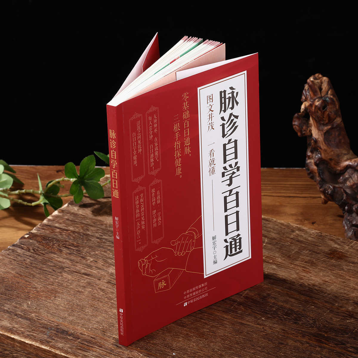 Libro de autoestudio sobre dia - Health & Wellness Là Gì reseña y precio