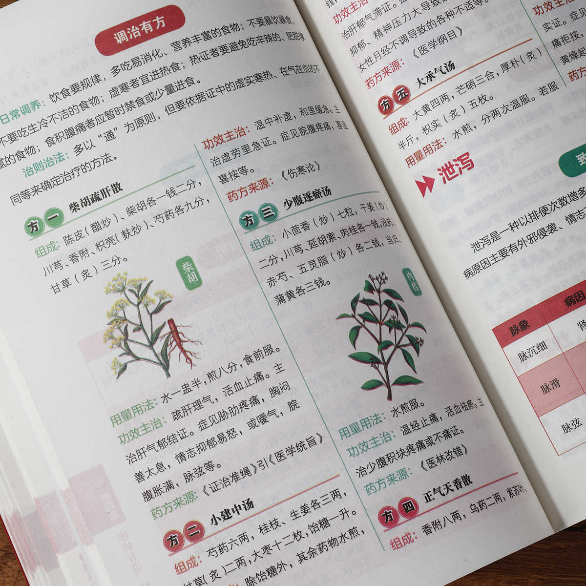 Libro de autoestudio sobre dia - Health & Wellness Là Gì reseña y precio